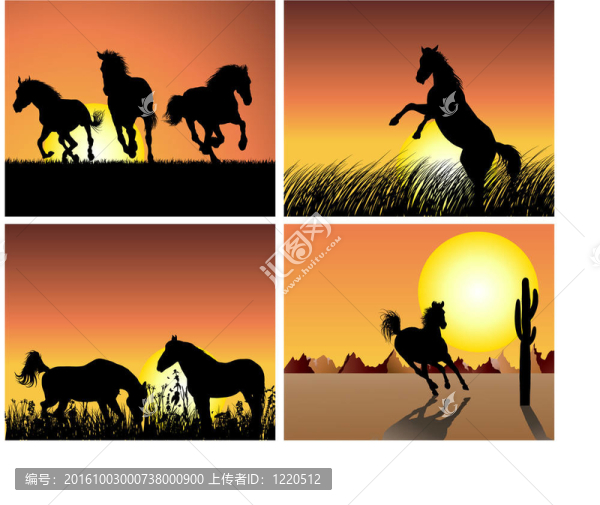 夕陽(yáng)背景下的馬