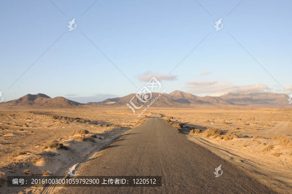 孤獨(dú)的路在加那利群島的富埃特文圖拉島島；西班牙
