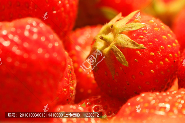 草莓