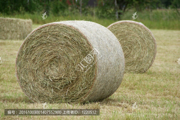 圓Hay,Bales