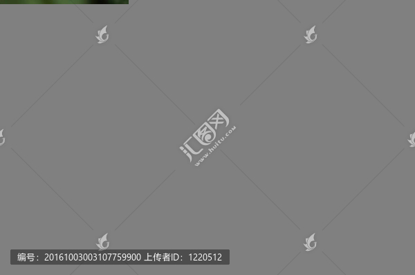 蝴蝶