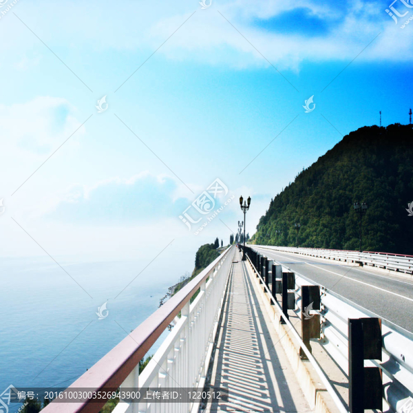 路線
