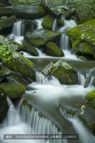 流；春景；GSMNP