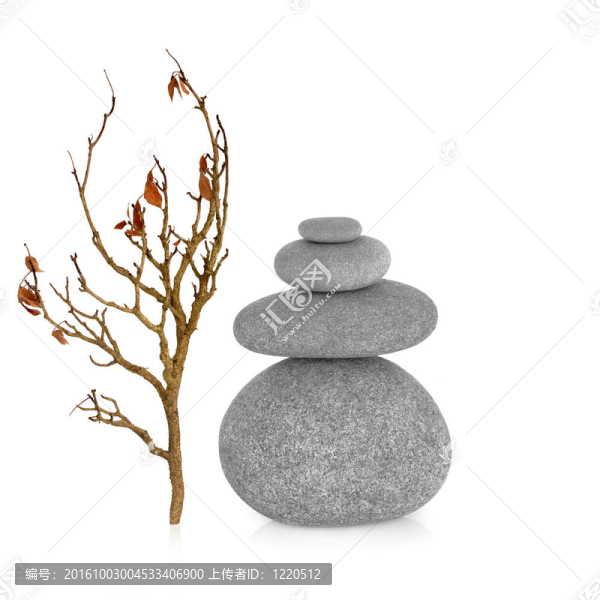 禪宗的稀土元素