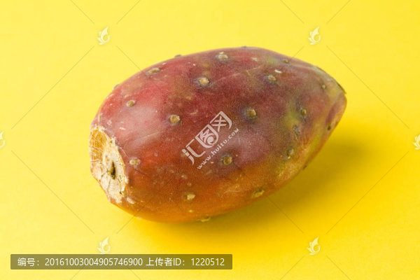 仙人掌的果實