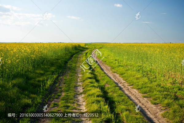 夕陽下的鄉(xiāng)村路
