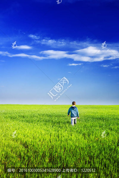 可愛的孩子戶外