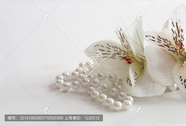 珍珠項鏈和真絲花