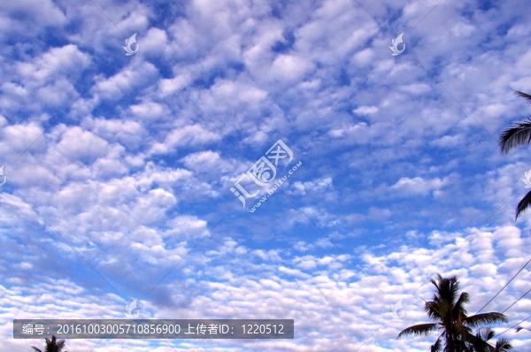 自由的天空
