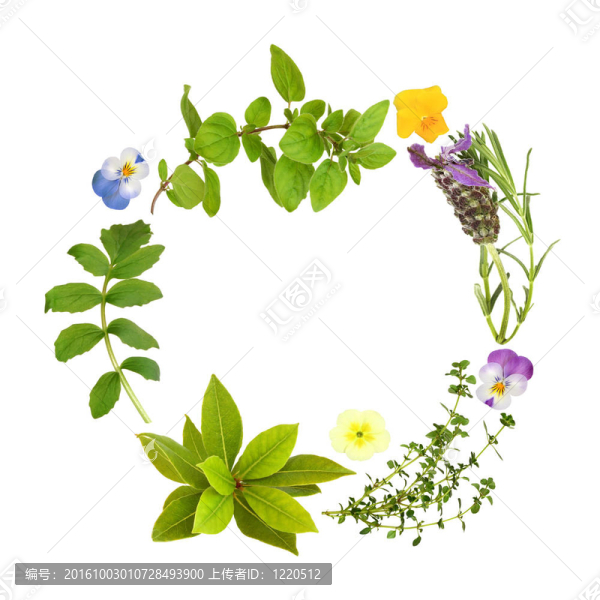 草本植物，葉和Floral,Garland