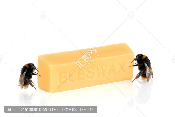 蜜蜂、蜂蠟