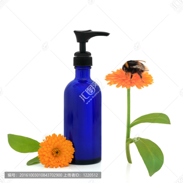 金盞花霜和Bumble,Bee