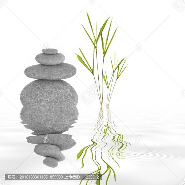 禪宗花園的寧靜