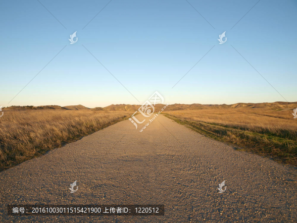 簡單路徑