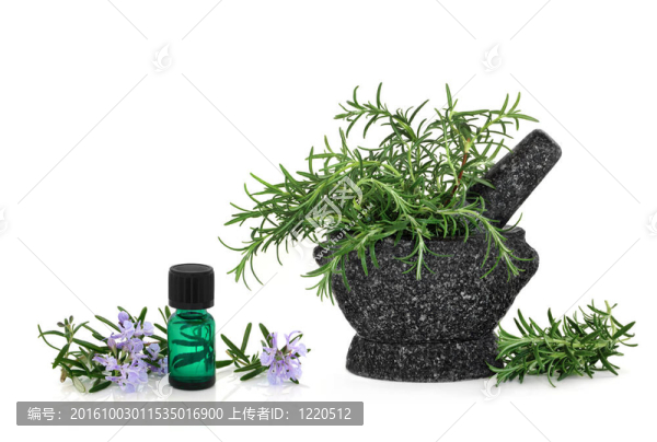 迷迭香香草精華與Flowers