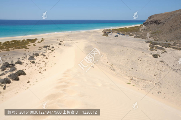海灘Playa,de,Sotavento加那利島；富埃特文圖拉島；西班牙