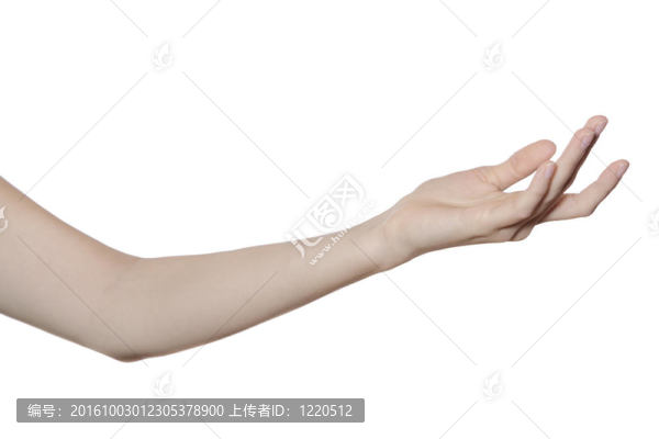 白色的手和胳膊上隔離