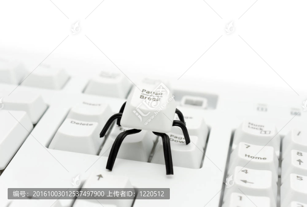 蜘蛛按鈕