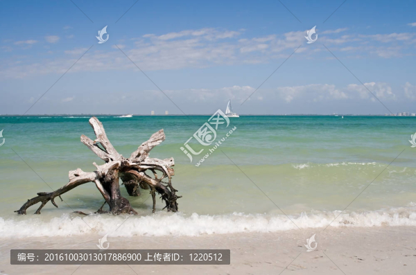 夏季的度假海灘
