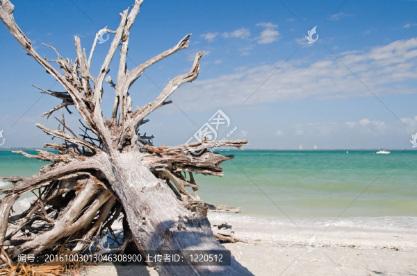 夏季的度假海灘
