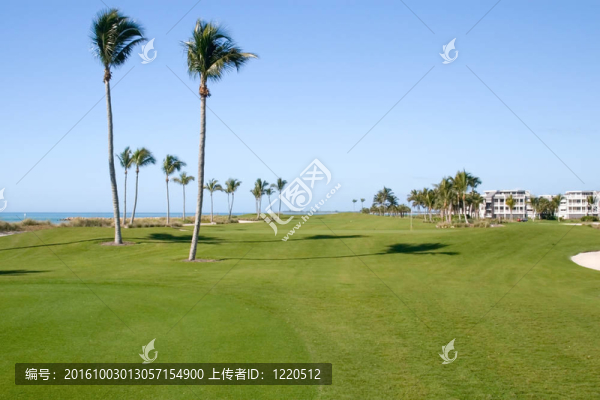 高爾夫球場
