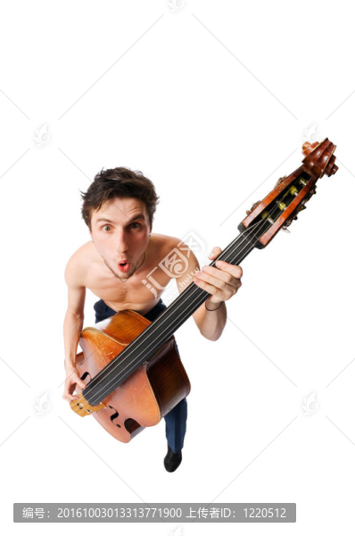 低音提琴手在白色背景