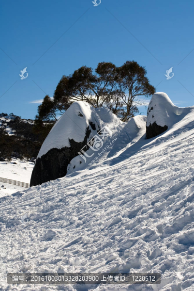 雪景