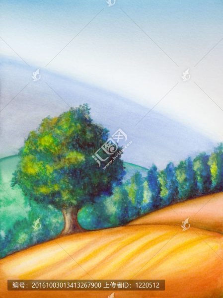 樹和景觀