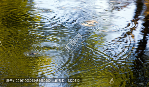 最后的一滴雨