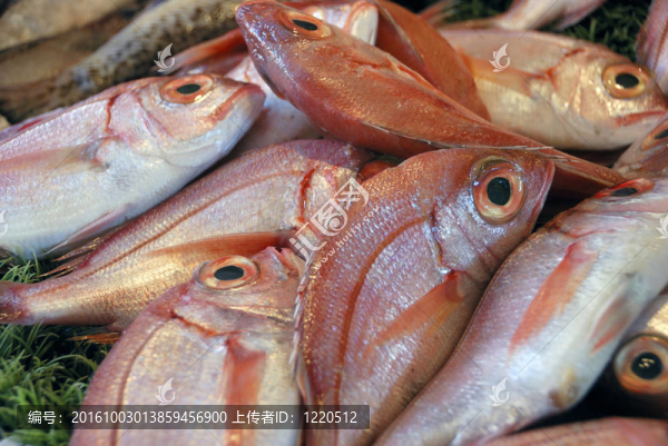 在市場(chǎng)上的魚