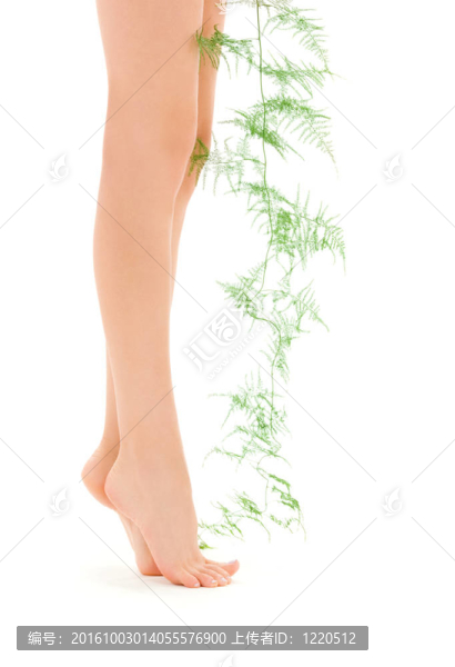 女腿與綠色植物