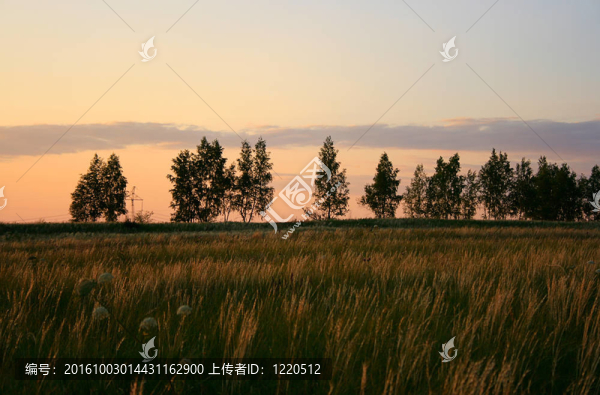 夏日傍晚的風景