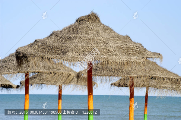在海灘上的太陽傘