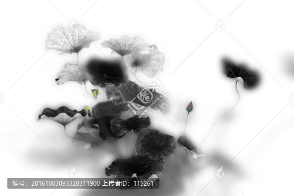 水墨荷韻