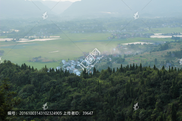山林