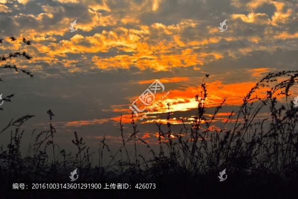 紅霞