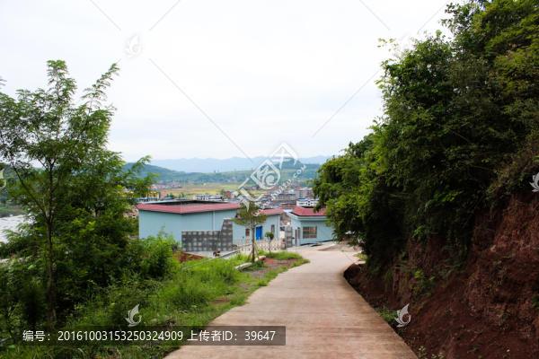山林