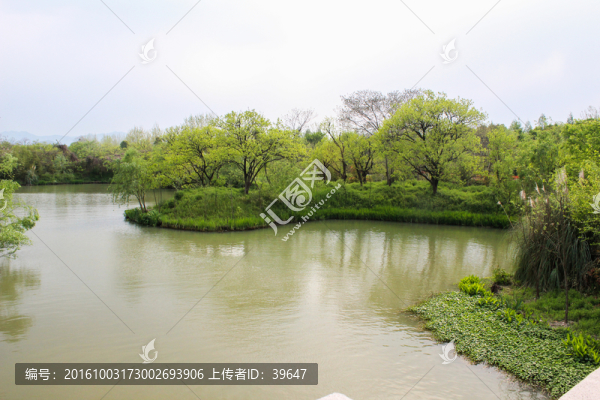 景觀造型