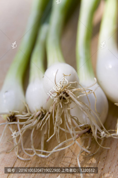 一束蔥