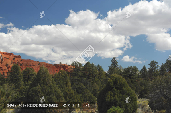 綠色；橙色地形和云景觀