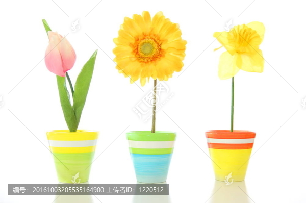 幸運(yùn)花