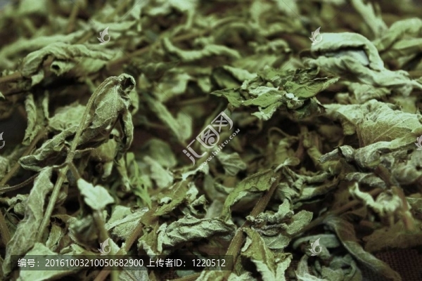 干薄荷葉