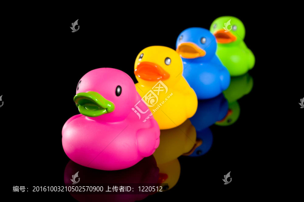 黑色彩色鴨子