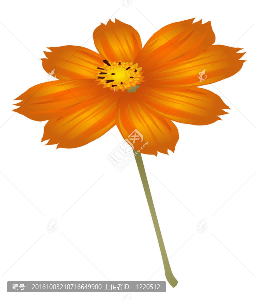 花