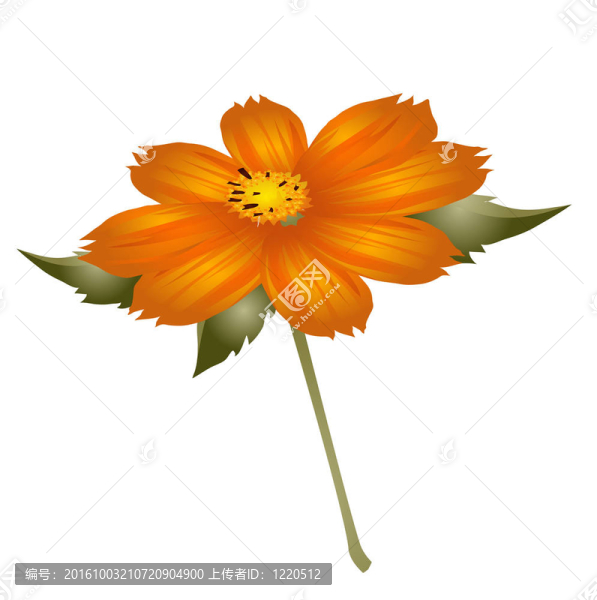 花