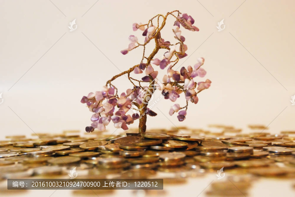 金錢樹