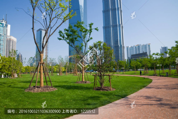 藍(lán)天背景下的現(xiàn)代建筑