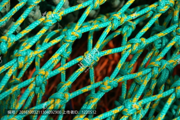 網(wǎng)5