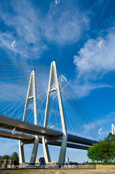 橫跨河的纜索支撐橋