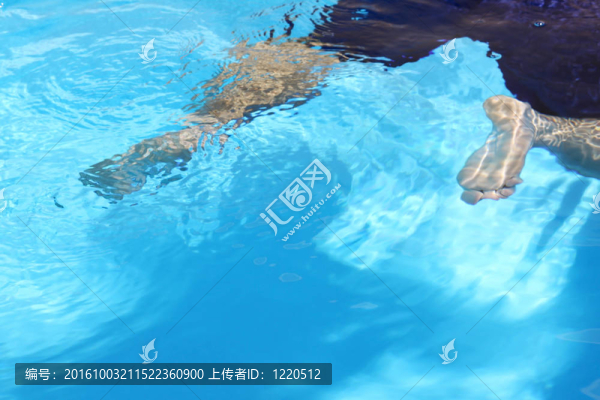 游泳